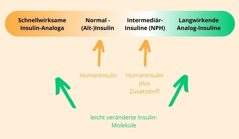 Seit Wann Gibt Es Insulin glucofit.de