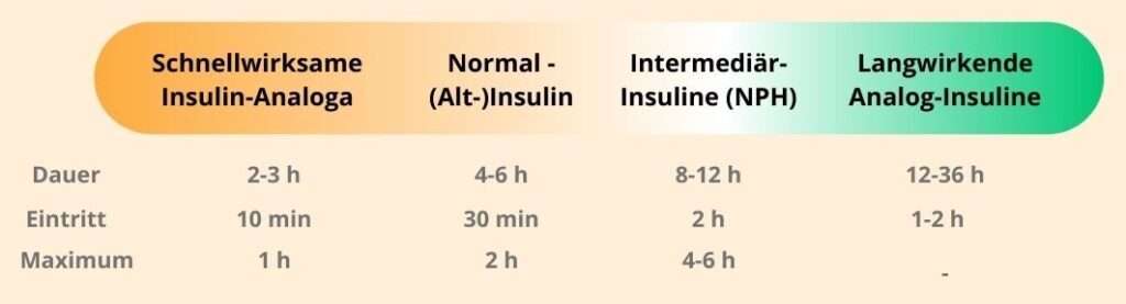 schnellwirksame Insulinanaloga, NPH-Insulin, Normalinsulin und langwirkende Analog-Insuline und deren Wirkdauern