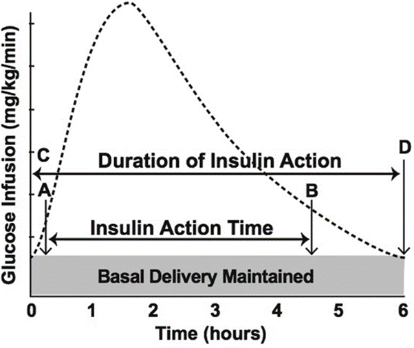 Insulnwirkung: starker Anstieg und etwas langsamerer Abfall, Peak bei etwa 1 Stunde; IAT etwa 4 Stunden, DIA etwa 6 Stunden