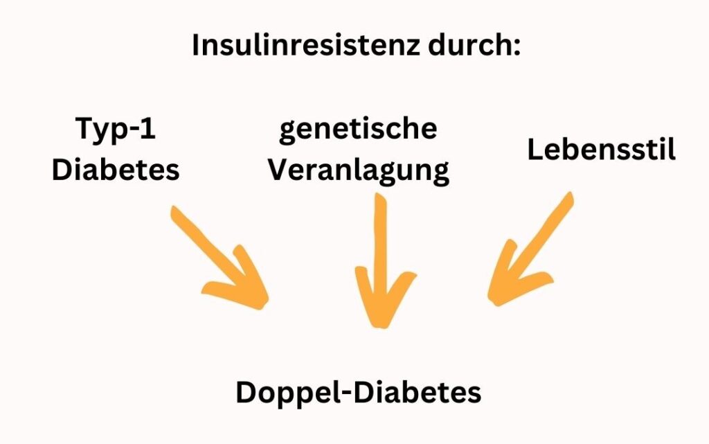 Drei Faktoren (Typ-1 Diabetes, genetische Veranlagung, Lebensstil) mit Wirkungspfeil auf das Wort Doppel-Diabetes